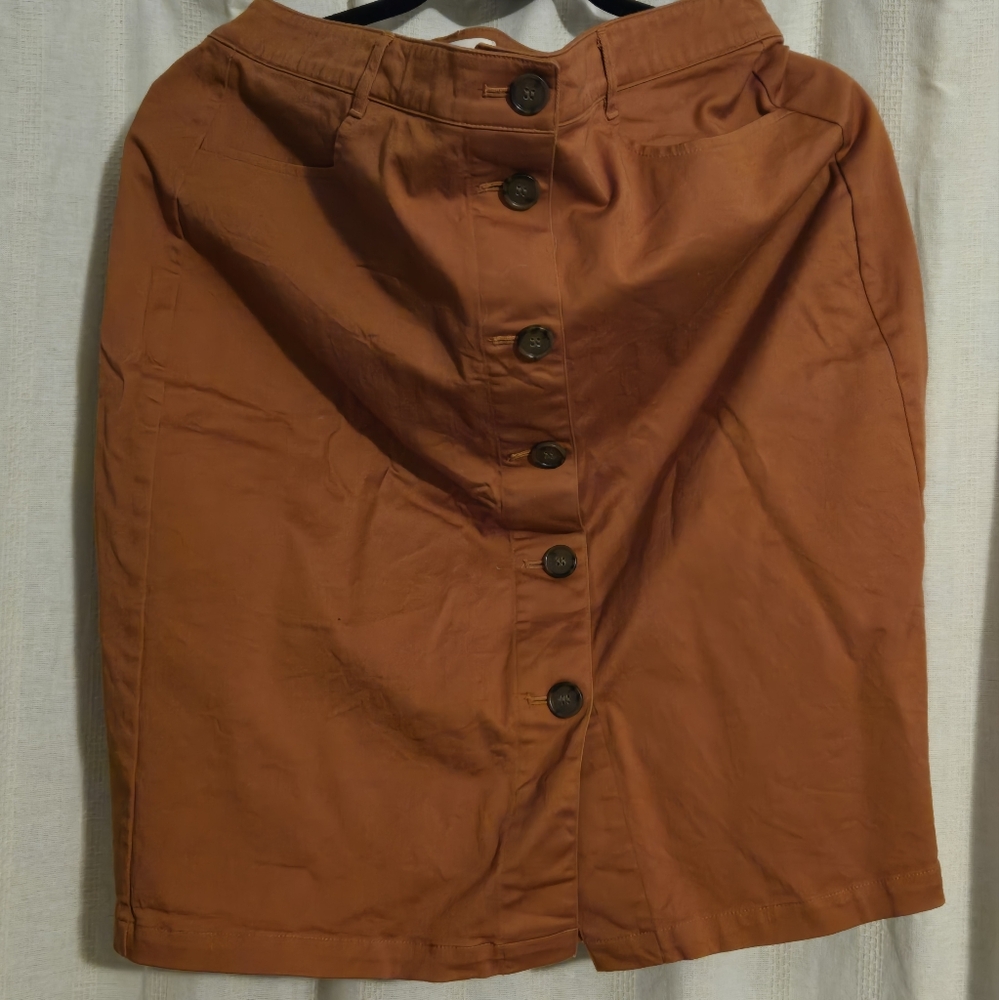 Ann Taylor Loft Button Front Skirt, 14